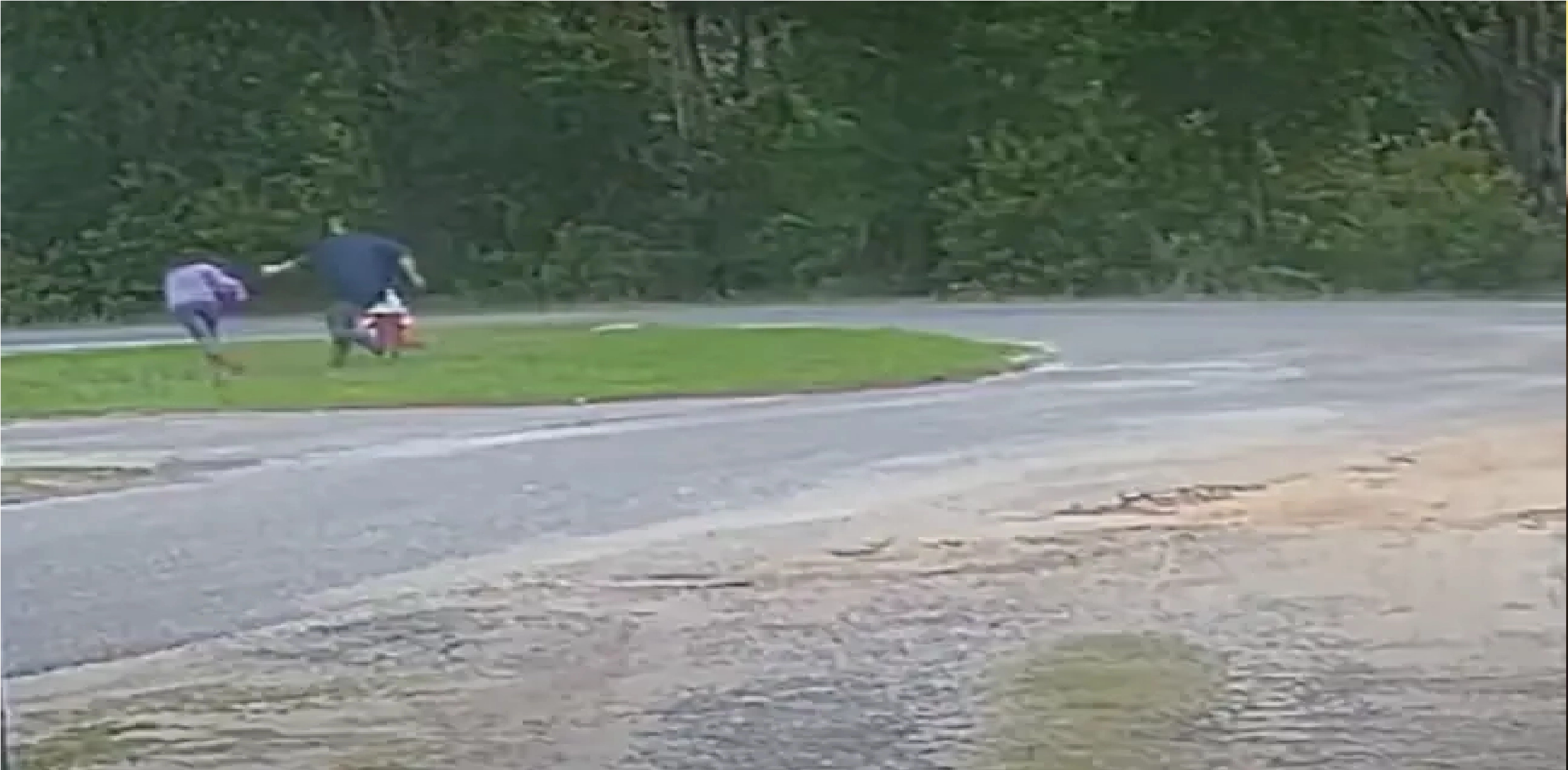 Skræmmende video: 11-årig pige forsøgt kidnappet