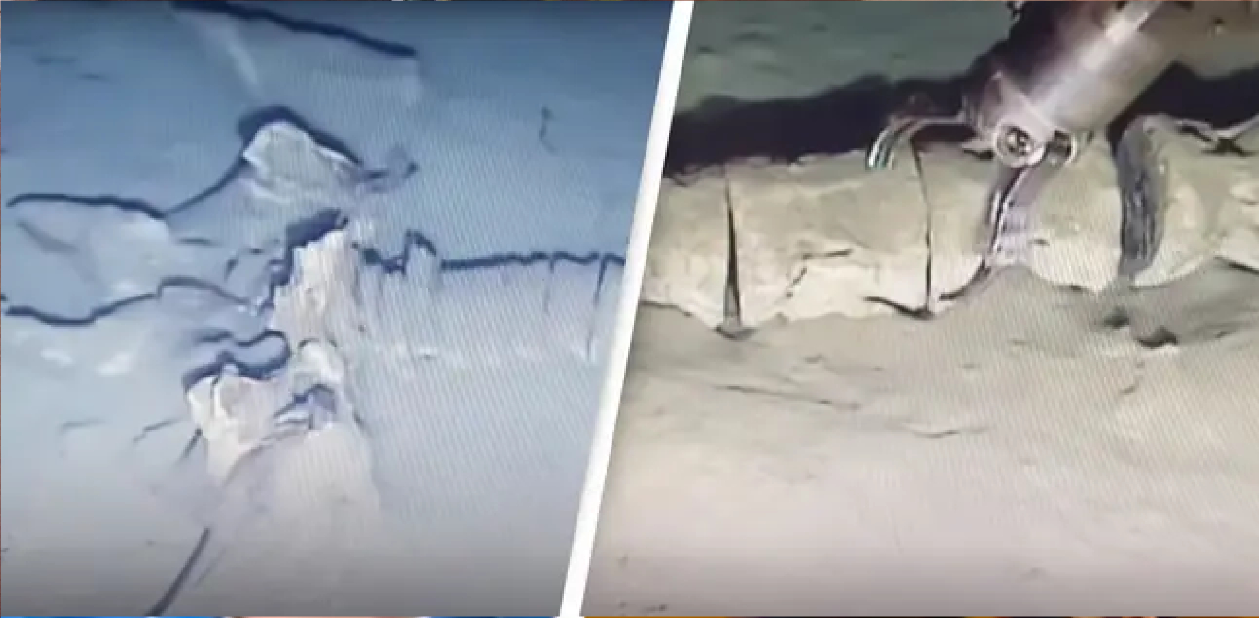 Uopklaret mysterium: 30 meter langt skelet fundet 800 meter under havets overflade