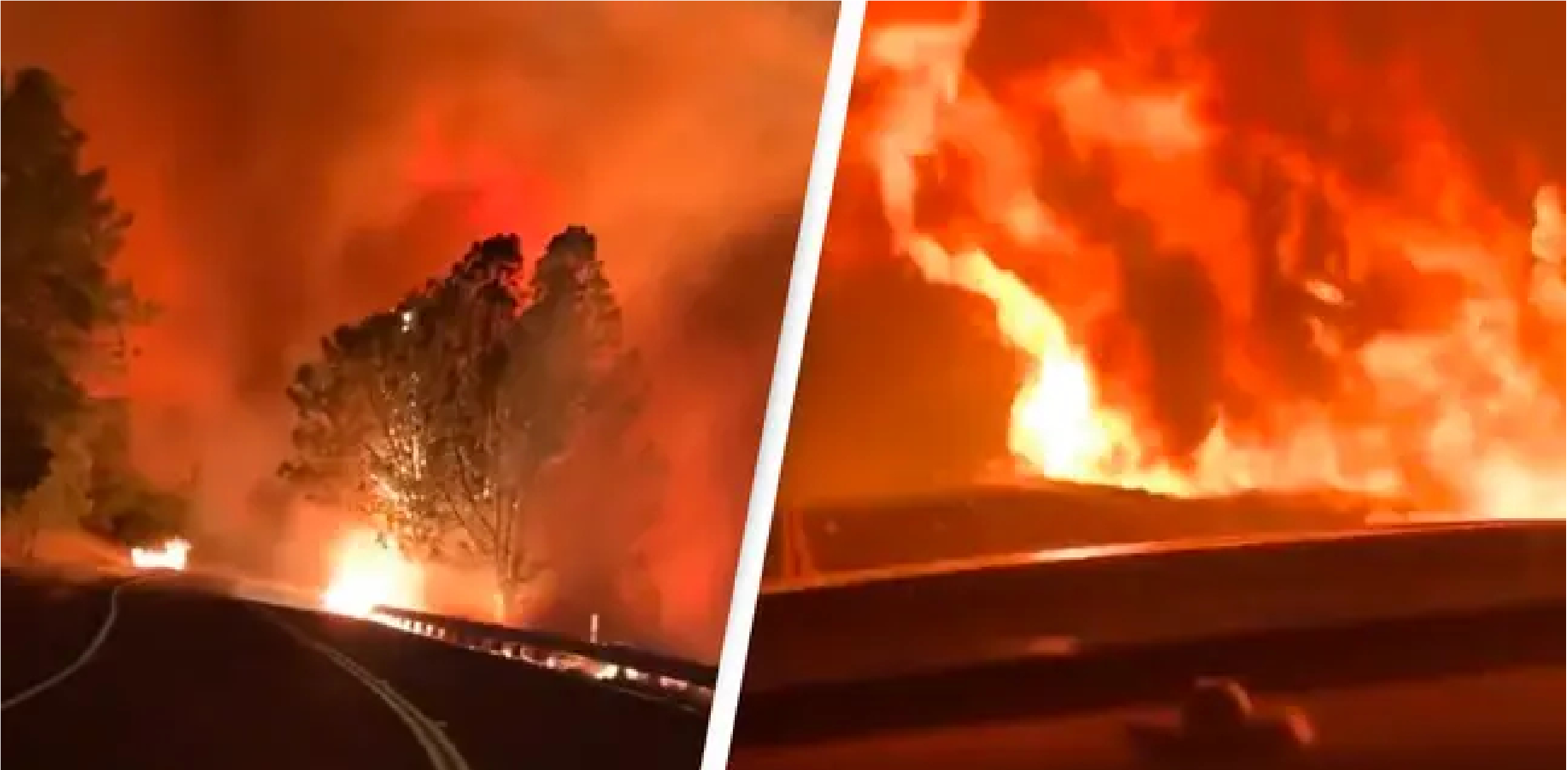 Vanvittige billeder: Bilist optager video midt i skovbrand