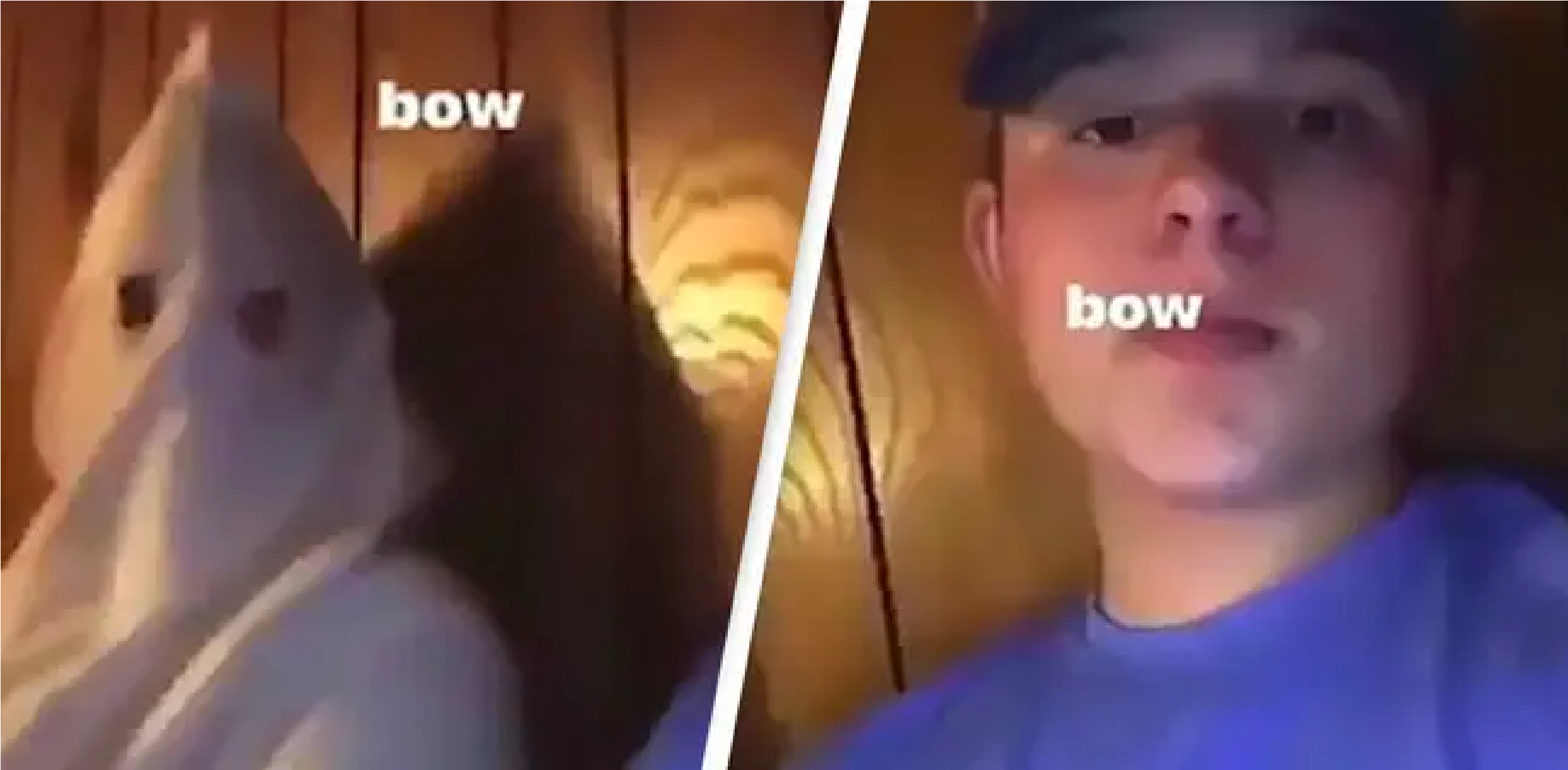 Racistisk video: Teenagestjerne smidt ud af show