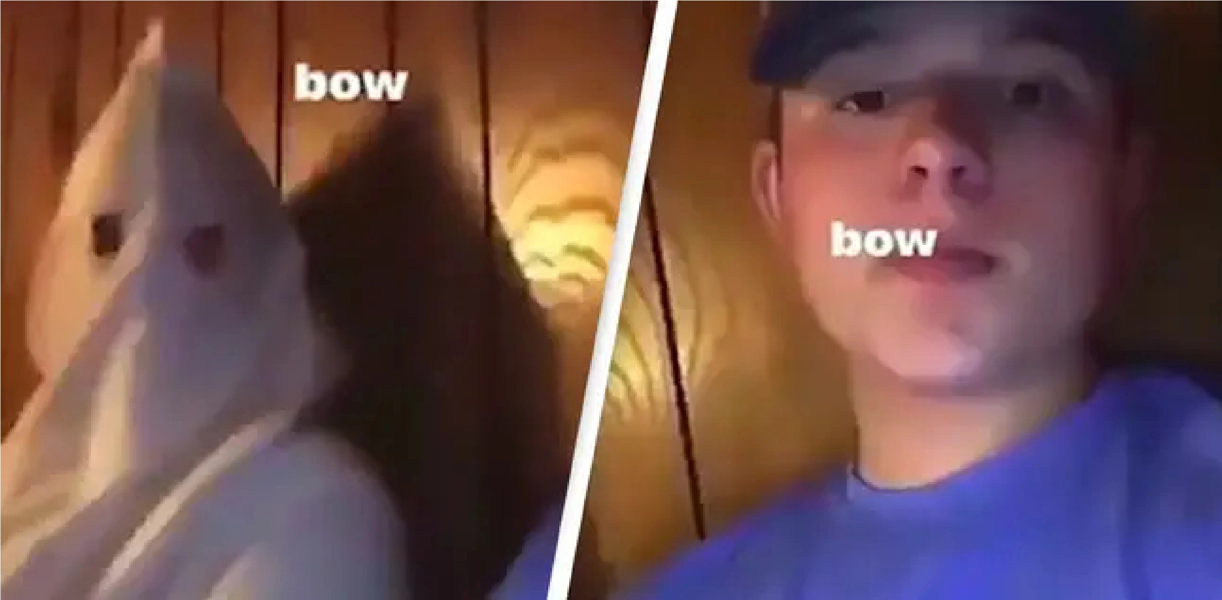 Racistisk video: Teenagestjerne smidt ud af show