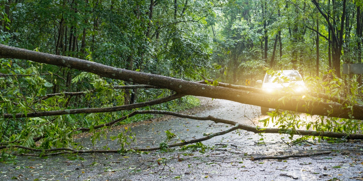 Stormen Nora har kostet mand livet