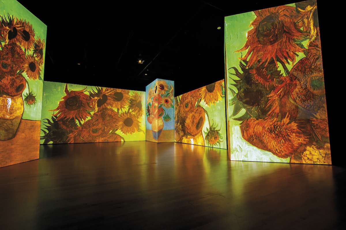Van Gogh indtager slottet