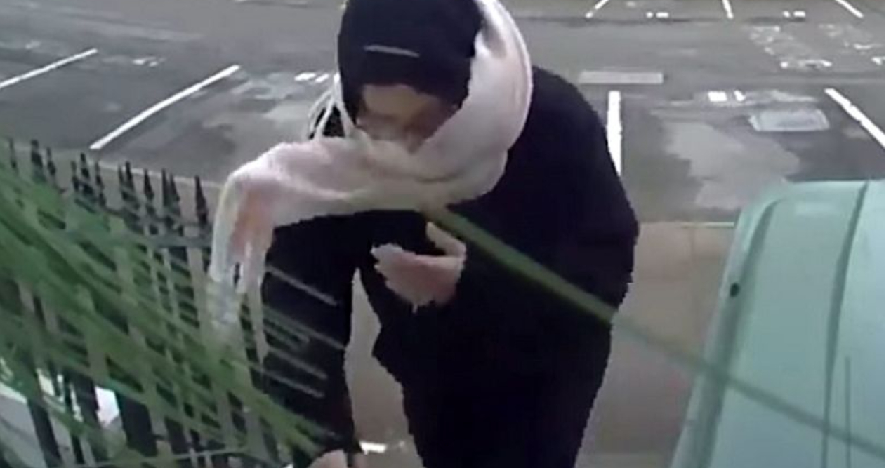 Politiet jagter ‘virkelighedens Grinch’ som har stjålet julegaver fra et døvt barn
