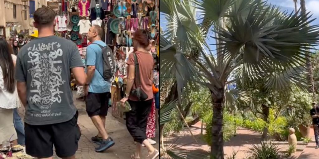 Rejseekspert deler det ‘perfekte sted at nyde vinterens sol’ – og du kan endda finde billige fly