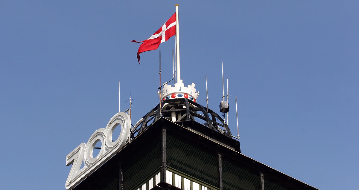 Festival var potentiel livsfarlig for dyrene: Københavns Zoo måtte medicinere mod stress