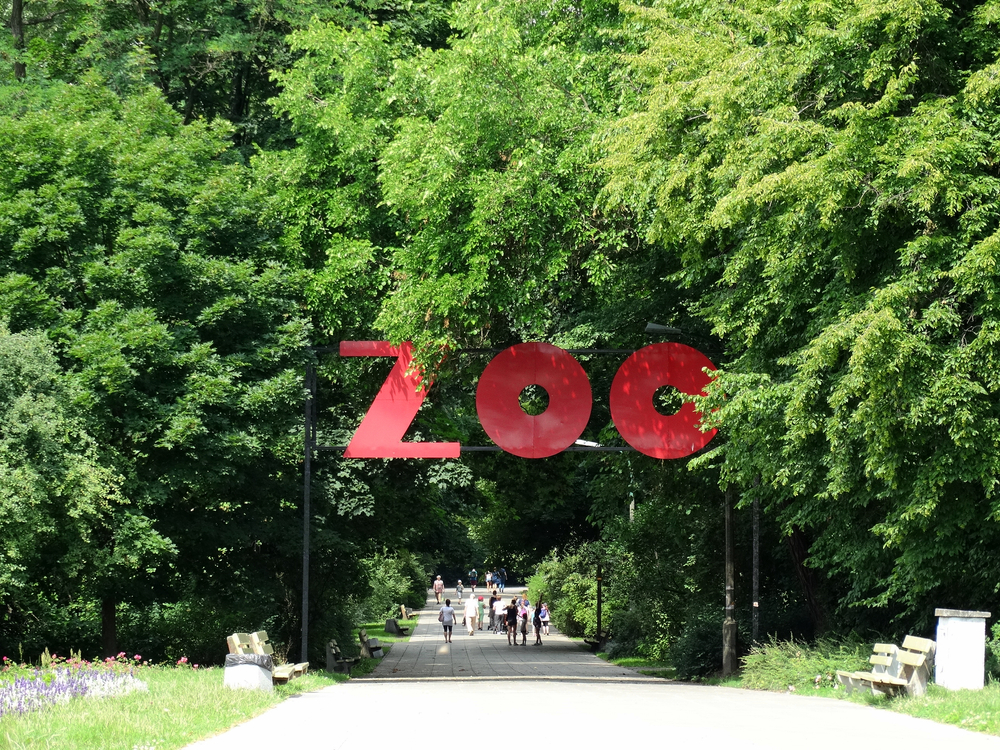 Chokerende opdagelse i zoo: Dyrepasser finder dyr uden hoved